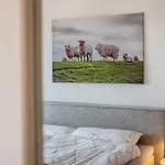 Nordseeblick Moewe * Пельворм