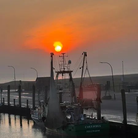 Nordseeblick Moewe Pellworm