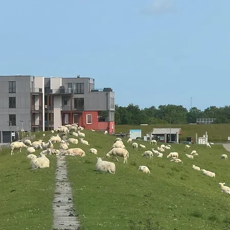 Apartman Nordseeblick Moewe *