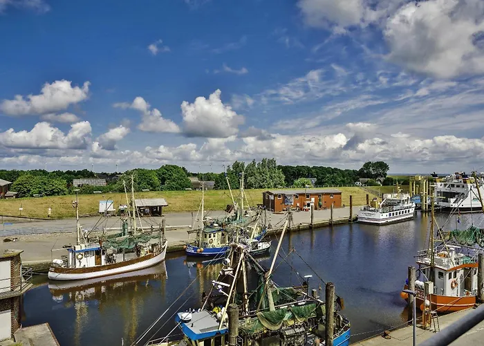 Nordseeblick Moewe *